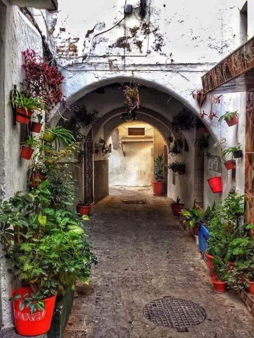 Belle Duplex With Terrace And Rooftop In The Heart Of Medina Tétouan Dış mekan fotoğraf